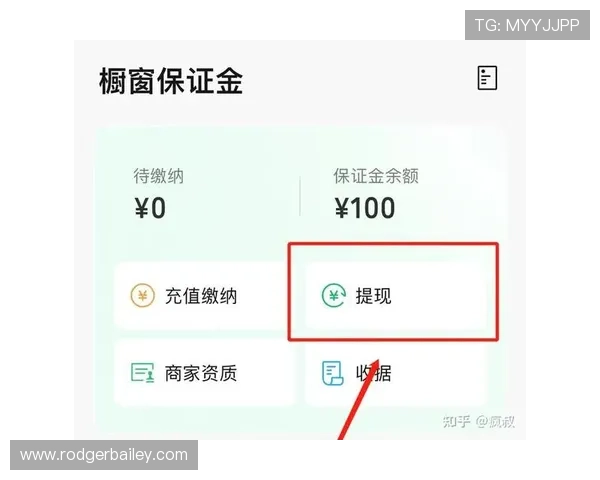 喜力欧博真人娱乐如何实现高效资金管理，保障玩家资金安全与便捷提现